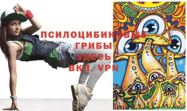 шишки Михайлов