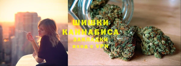 шишки Михайлов