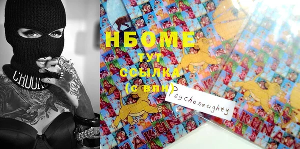 крисы Надым
