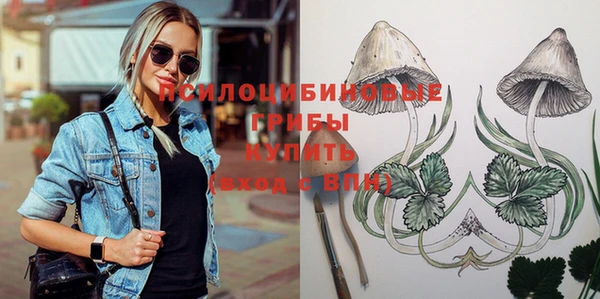 ПСИЛОЦИБИНОВЫЕ ГРИБЫ Россошь