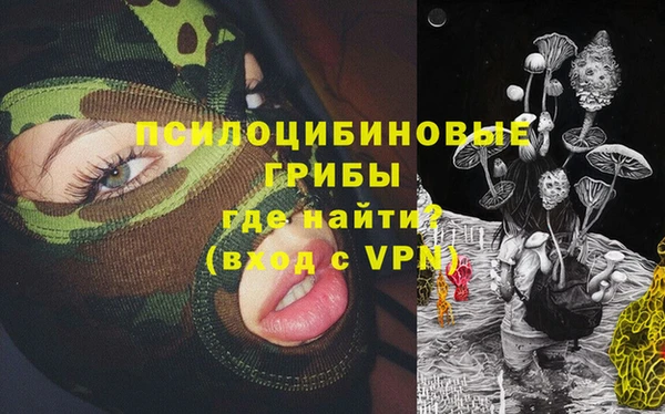 прущие крисы Михайловск