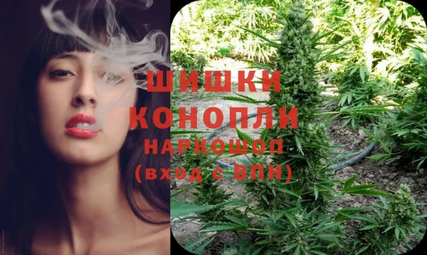 прущие крисы Михайловка
