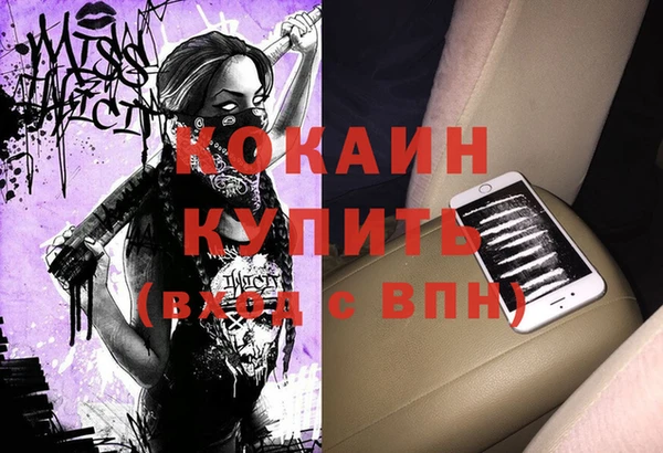 шишки Михайлов