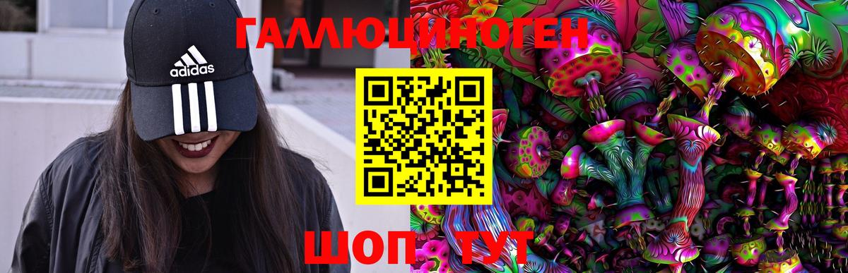 где можно купить   Галлюциногенные грибы ЛСД  Псилоцибиновые грибы GOLDEN TEACHER  Вход с VPN  Березники 