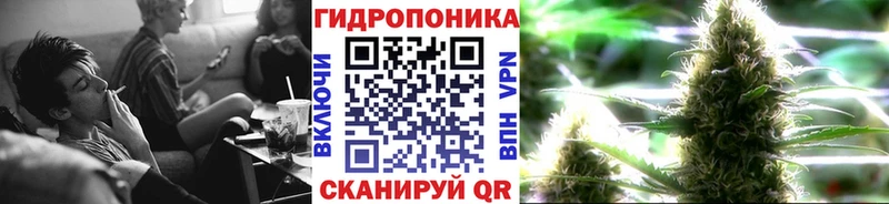 даркнет сайт  Березники  Марихуана Amnesia 